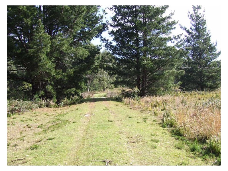 24627 Tasman Highway, St Helens TAS 7216