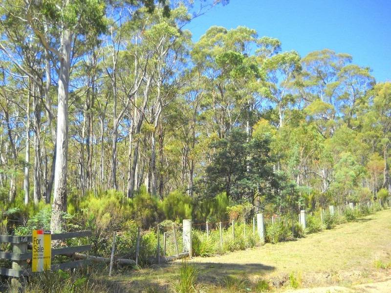 237 Elephant Pass Road, St Marys TAS 7215