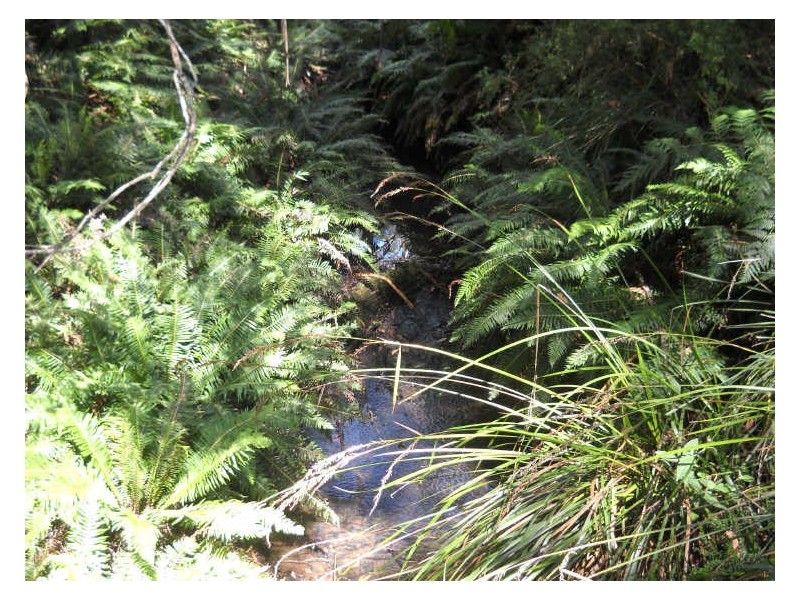 237 Elephant Pass Road, St Marys TAS 7215