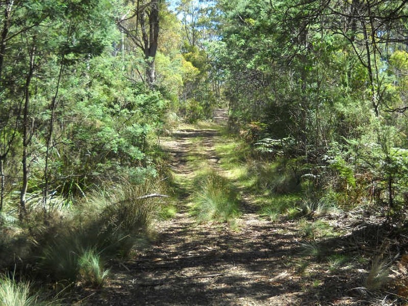 237 Elephant Pass Road, St Marys TAS 7215