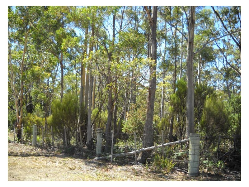 237 Elephant Pass Road, St Marys TAS 7215