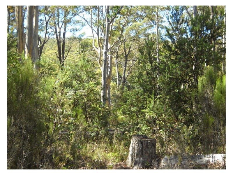 237 Elephant Pass Road, St Marys TAS 7215