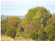 12 Pelican Court, Scamander TAS 7215