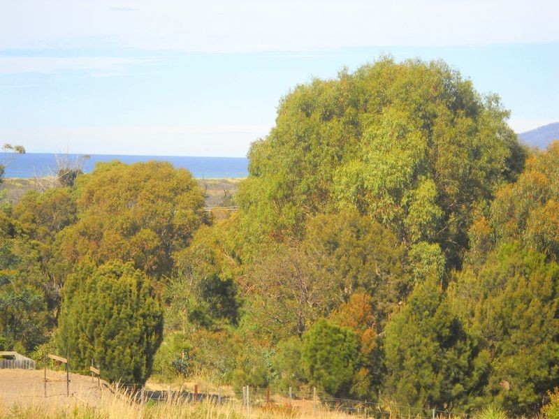 12 Pelican Court, Scamander TAS 7215