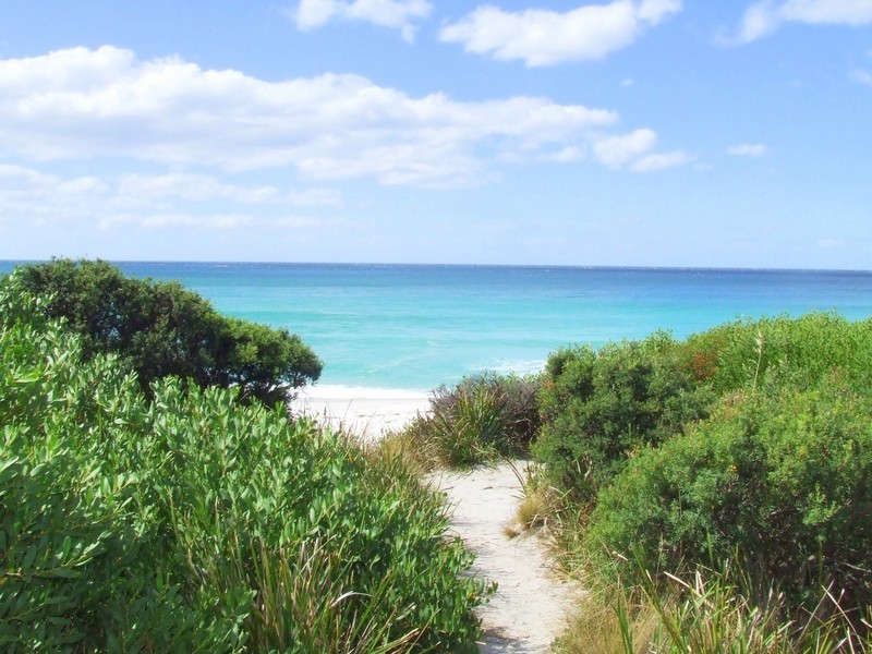 61 Lyall Road, Binalong Bay TAS 7216