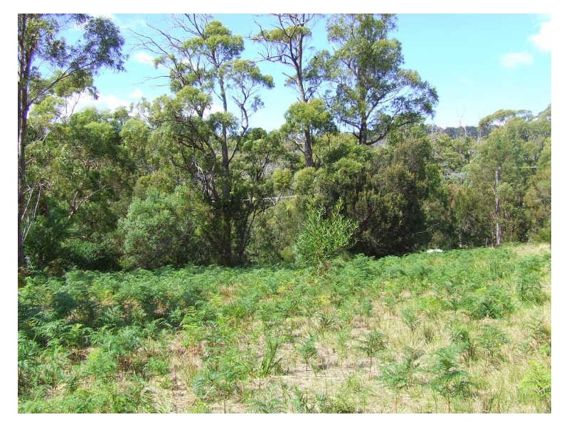 41 Treloggen Drive, Binalong Bay TAS 7216