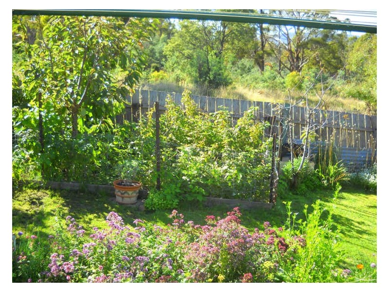 178 Cornwall Road, Cornwall TAS 7215