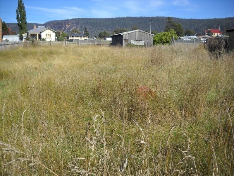 Talbot Street, Fingal TAS 7214