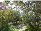 250 St Helens Point Road, Stieglitz TAS 7216