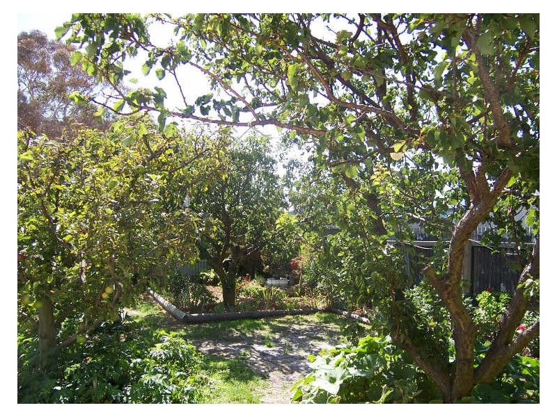 250 St Helens Point Road, Stieglitz TAS 7216