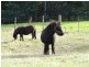27261 Tasman Highway, Goulds Country TAS 7216