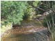 27261 Tasman Highway, Goulds Country TAS 7216