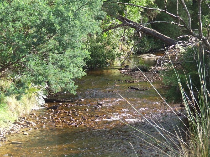 27261 Tasman Highway, Goulds Country TAS 7216