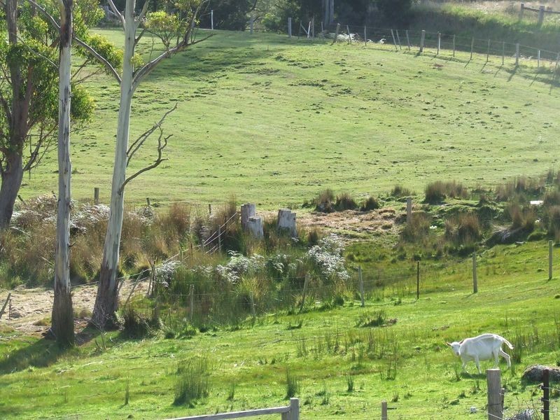 27261 Tasman Highway, Goulds Country TAS 7216