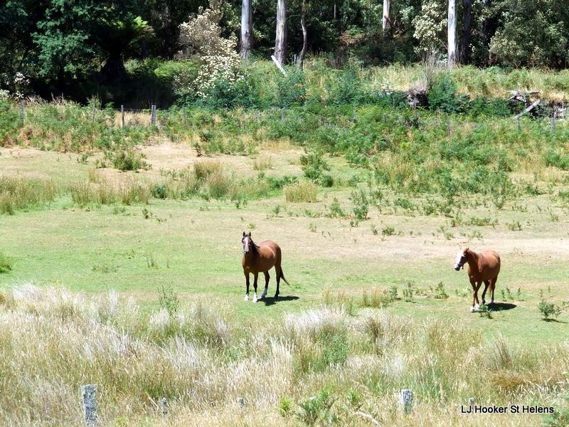 27261 Tasman Highway, Goulds Country TAS 7216