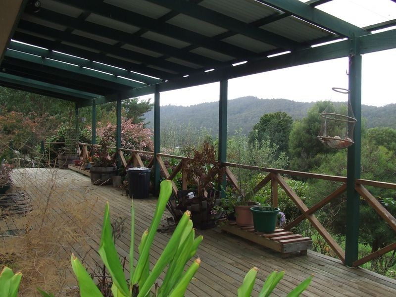 239 Lottah Road, Goulds Country TAS 7216