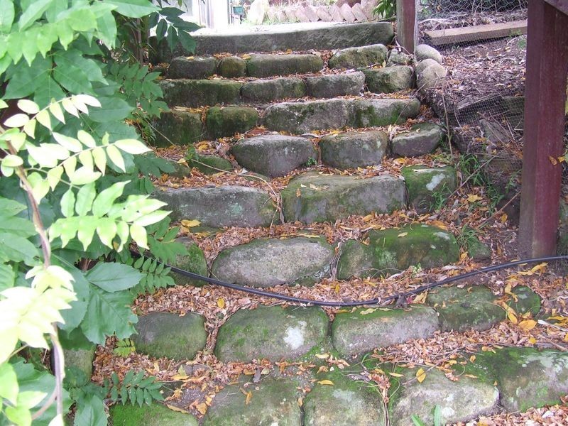 239 Lottah Road, Goulds Country TAS 7216