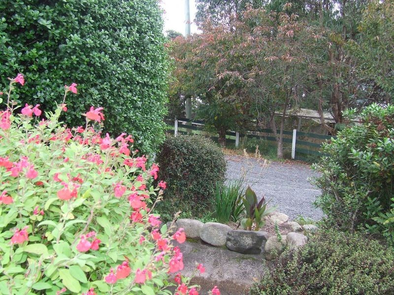 239 Lottah Road, Goulds Country TAS 7216