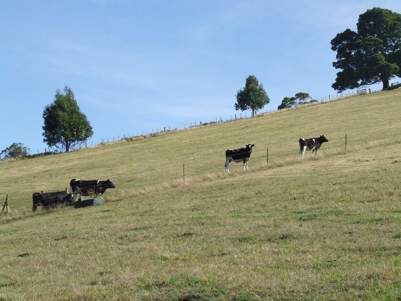 239 Lottah Road, Goulds Country TAS 7216