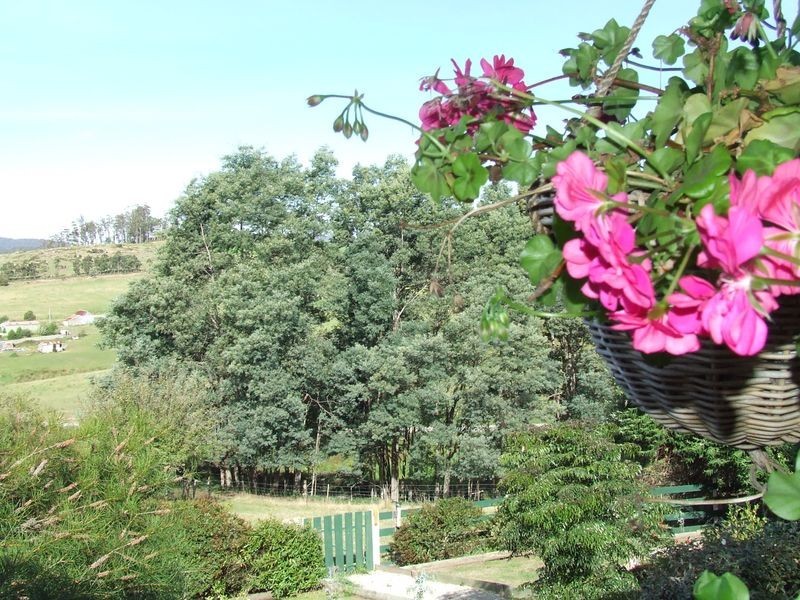 239 Lottah Road, Goulds Country TAS 7216