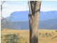 11.5 ha Gray Street, Fingal TAS 7214
