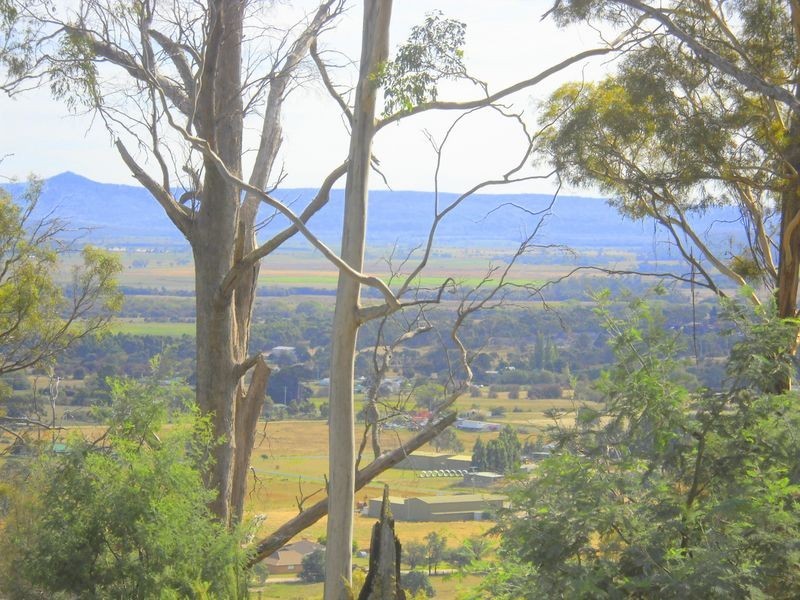 11.5 ha Gray Street, Fingal TAS 7214