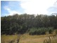 11.5 ha Gray Street, Fingal TAS 7214