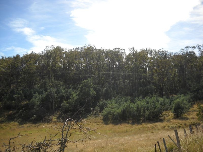 11.5 ha Gray Street, Fingal TAS 7214