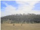 11.5 ha Gray Street, Fingal TAS 7214