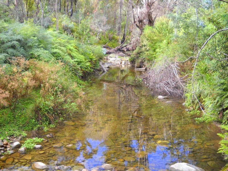 289 Davis Gully Road, Four Mile Creek TAS 7215