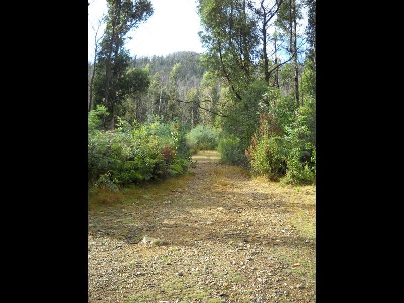 289 Davis Gully Road, Four Mile Creek TAS 7215