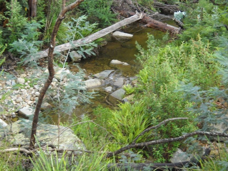 289 Davis Gully Road, Four Mile Creek TAS 7215