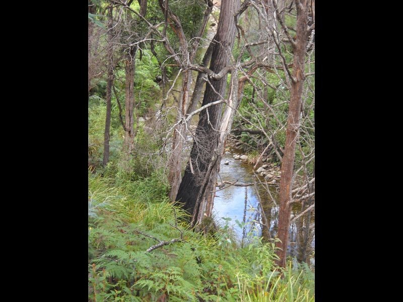 289 Davis Gully Road, Four Mile Creek TAS 7215