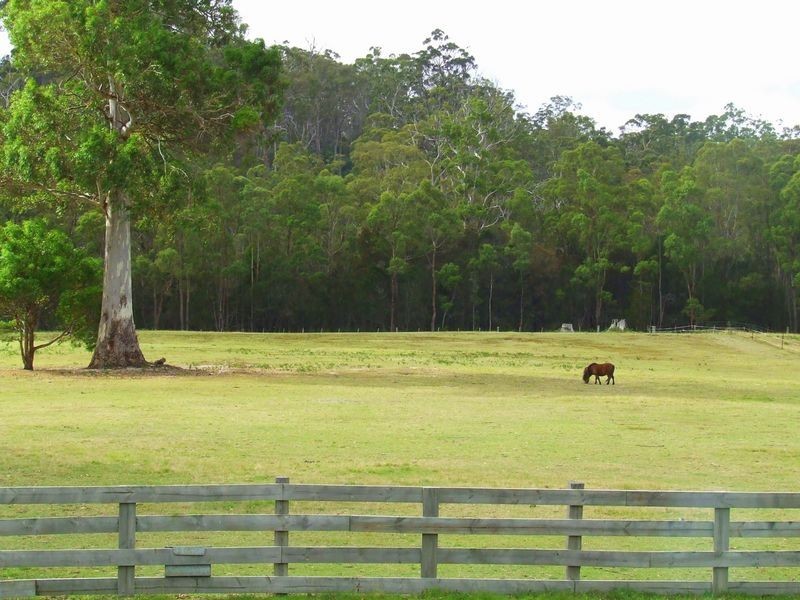 218 Argonaut Road, St Helens TAS 7216