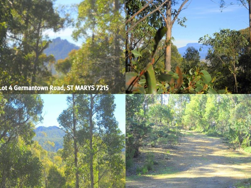 Lot 3 & Lo Germantown Road, St Marys TAS 7215