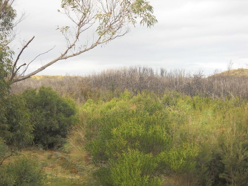 9 Dune Street, Scamander TAS 7215