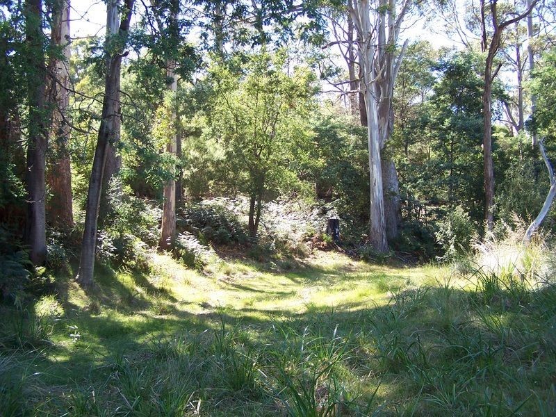 Lot 12 Binalong Bay Road, St Helens TAS 7216