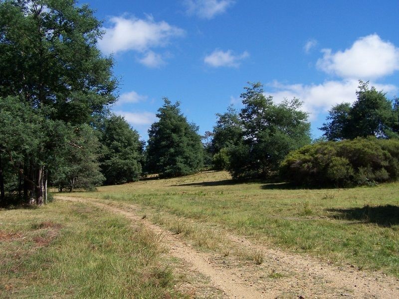 Lot 12 Binalong Bay Road, St Helens TAS 7216