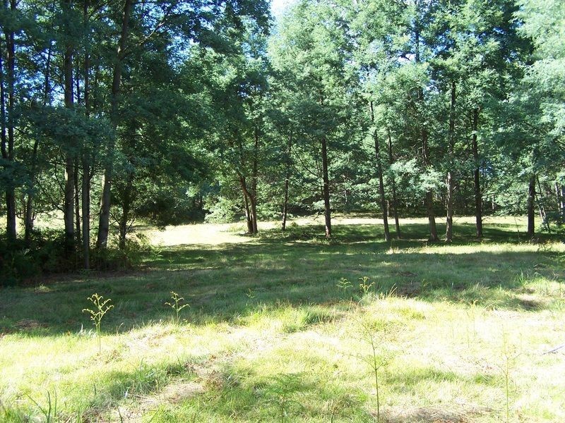 Lot 12 Binalong Bay Road, St Helens TAS 7216