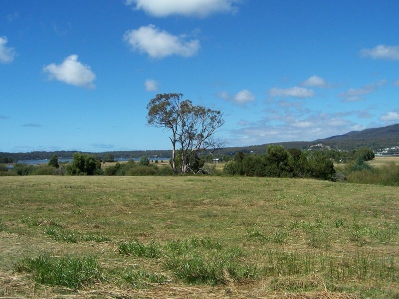 Lot 12 Binalong Bay Road, St Helens TAS 7216