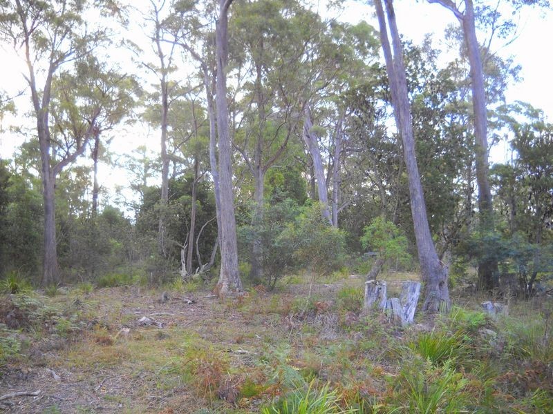 1.125ha Elephant Pass Road, St Marys TAS 7215