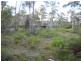 1.125ha Elephant Pass Road, St Marys TAS 7215