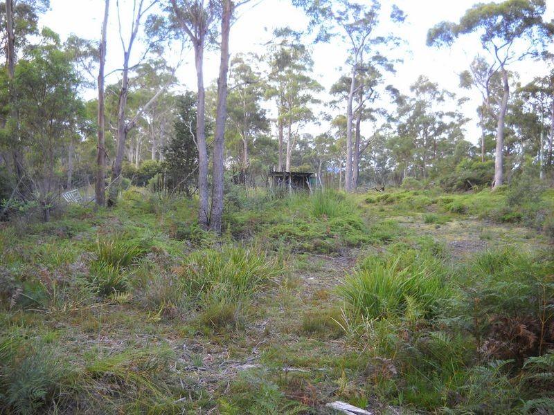 1.125ha Elephant Pass Road, St Marys TAS 7215