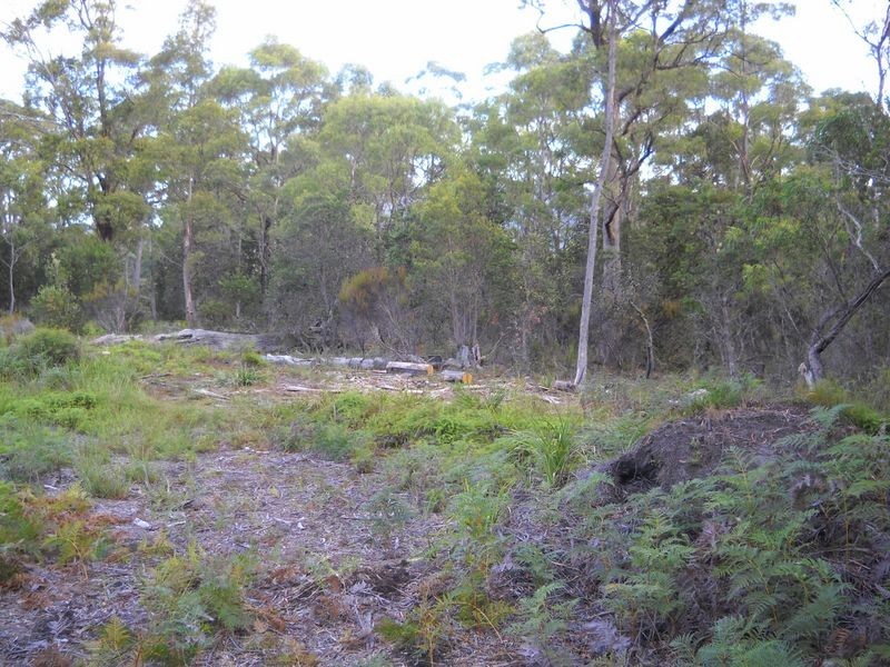 1.125ha Elephant Pass Road, St Marys TAS 7215