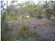 1.125ha Elephant Pass Road, St Marys TAS 7215