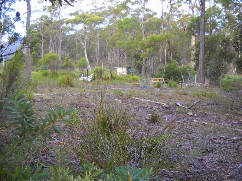 1.125ha Elephant Pass Road, St Marys TAS 7215