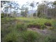 1.125ha Elephant Pass Road, St Marys TAS 7215