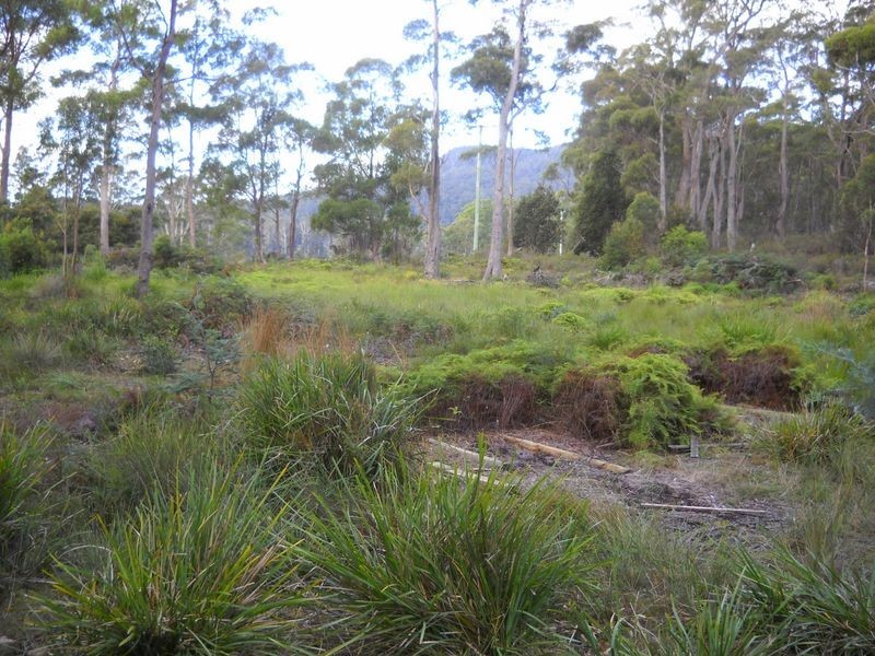 1.125ha Elephant Pass Road, St Marys TAS 7215