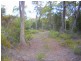 1.125ha Elephant Pass Road, St Marys TAS 7215