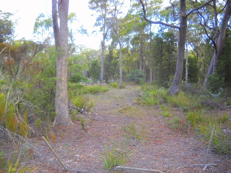1.125ha Elephant Pass Road, St Marys TAS 7215